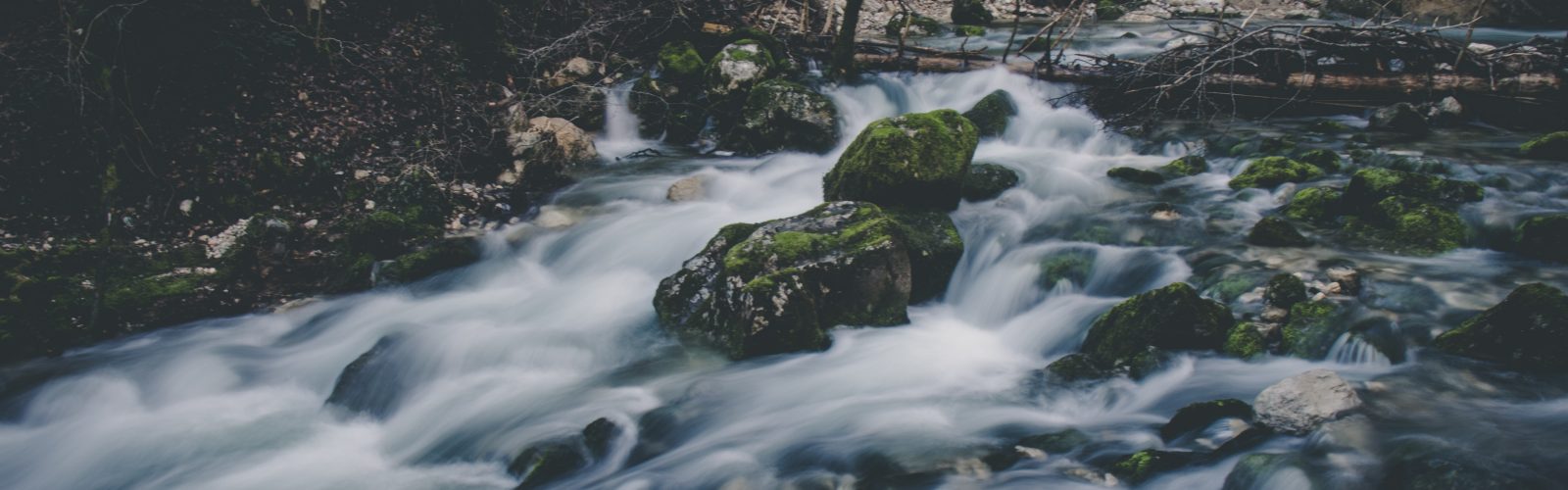 remi-bertogliati-hHB8vD_VbUk-unsplash